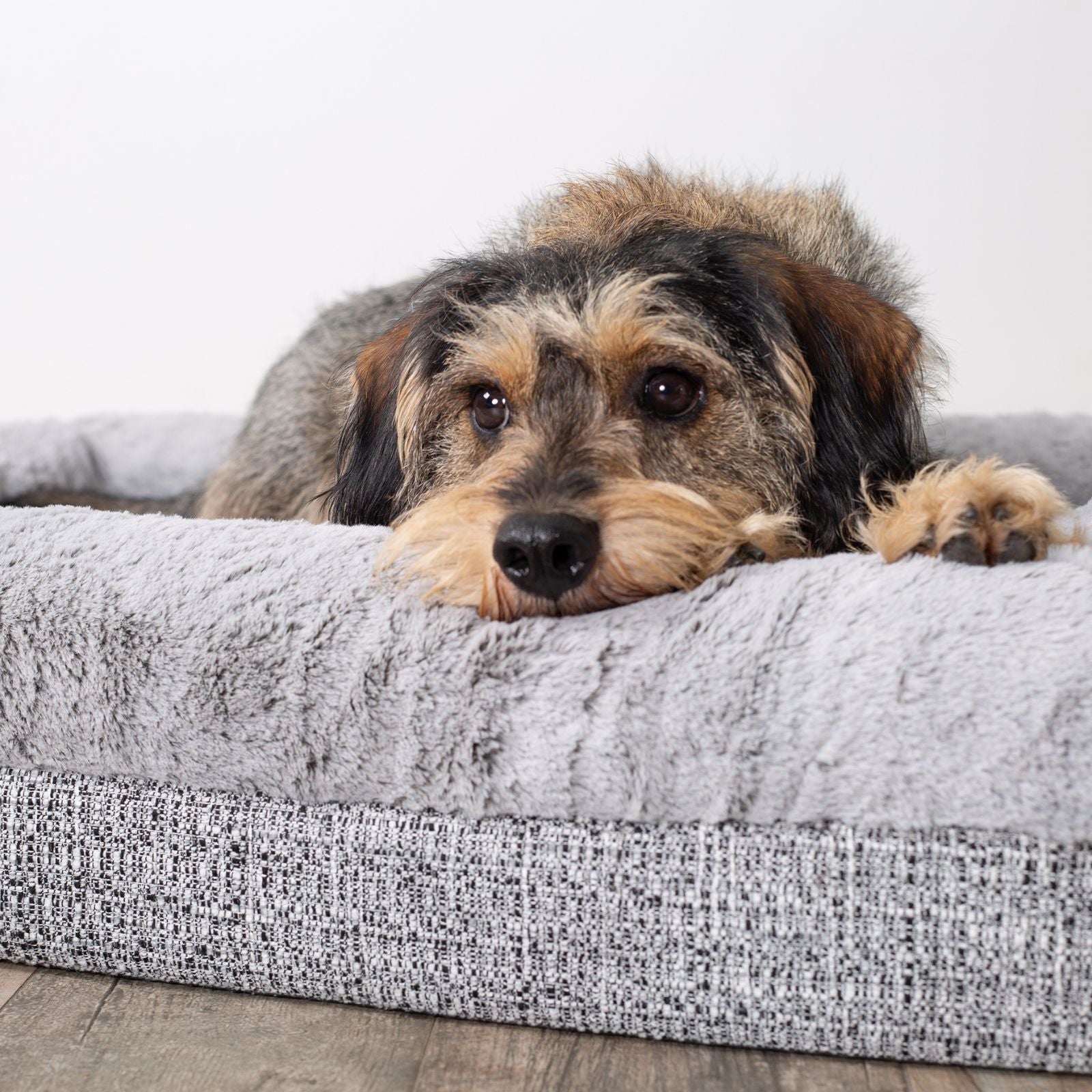 Kazoo Wombat Pet Bed - Cream Boucle