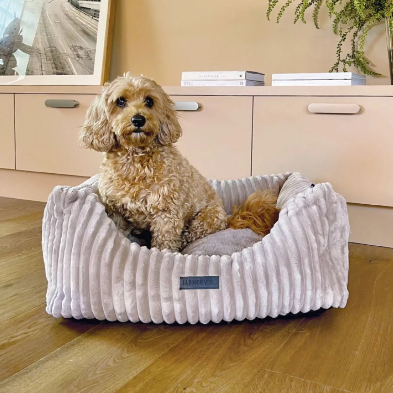 La Doggie Vita Low Front Velour Corduroy Mousse Bolster Dog Bed La Doggie Vita