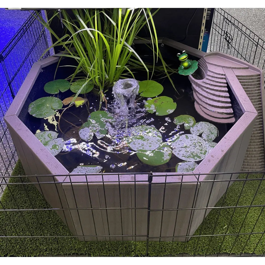 Liberty Solar No - Dig Pond - Kellyville Pets