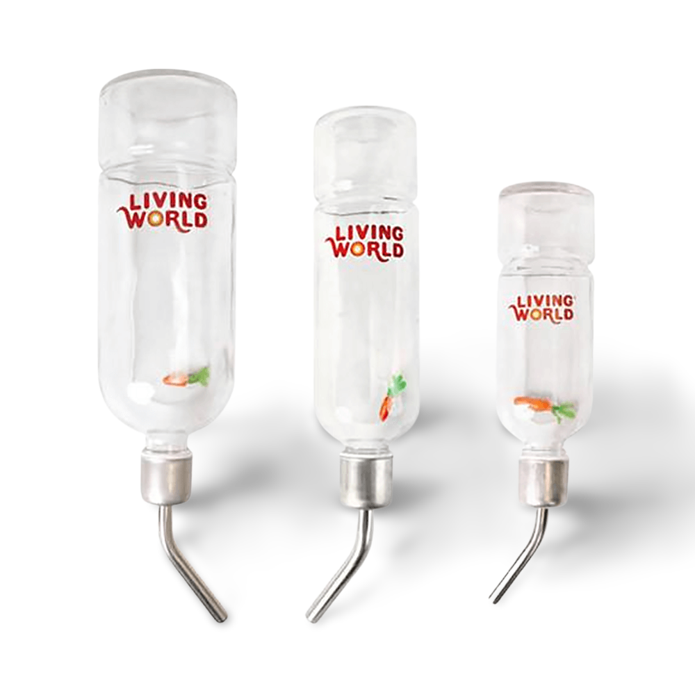 Living World Eco Glass Drinking Bottle Living World