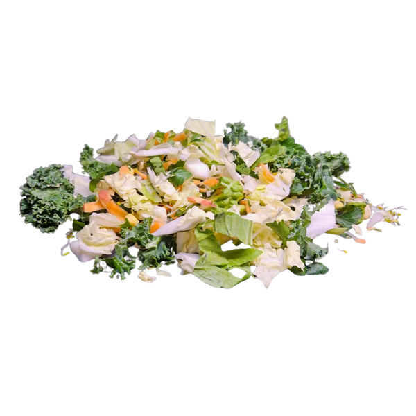Lizard Veggie Mix Kellyville Pets