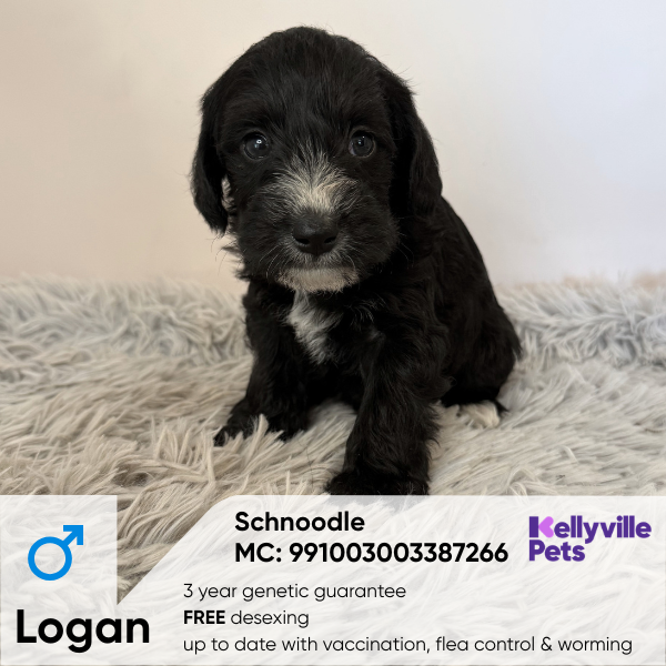 Logan