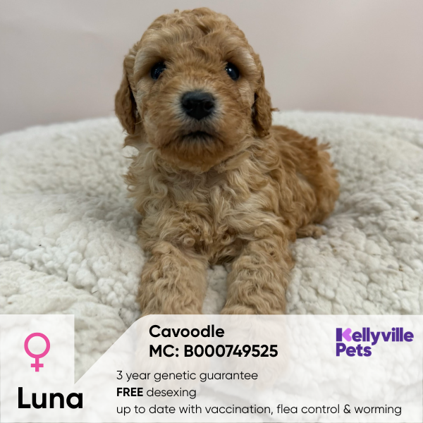 Luna