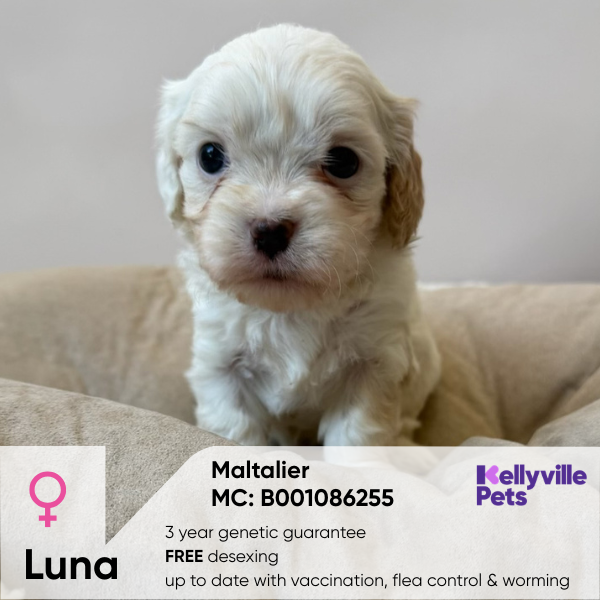 Luna