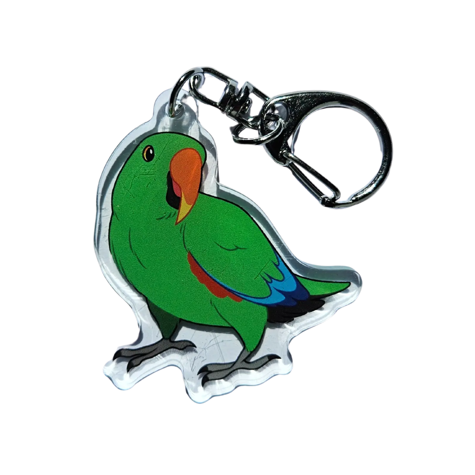Male Eclectus Parrot Acrylic Keychain Hecko Gecko