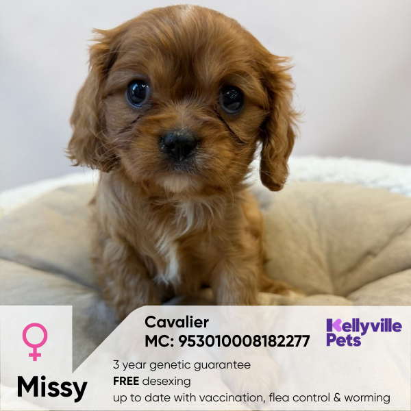 Missy