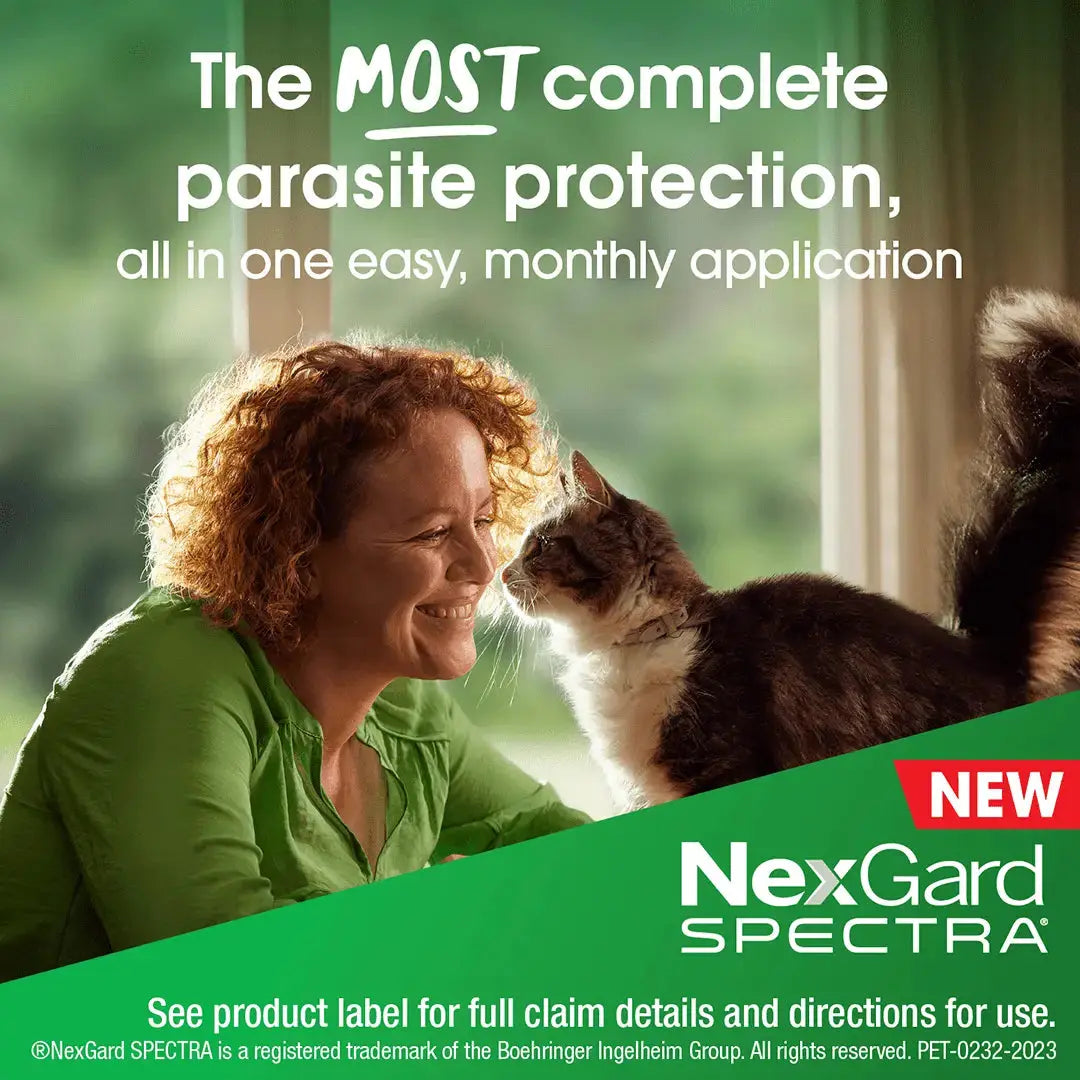 Nexgard Spectra for Cats - Kellyville Pets