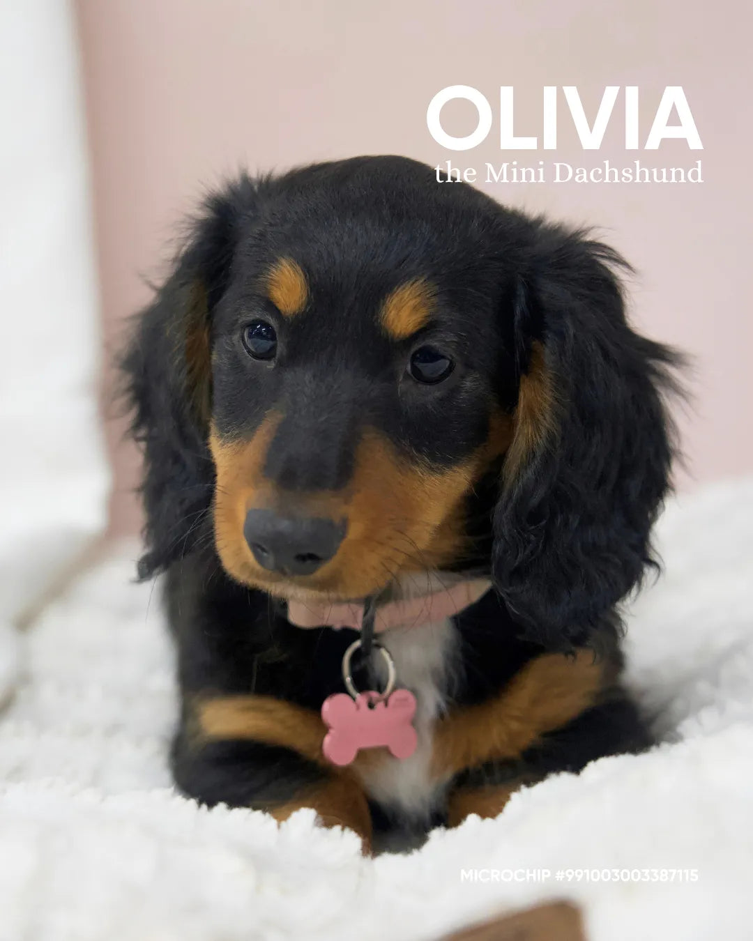 Olivia