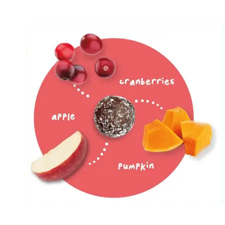 Petervescence Treat - A - Balls Cranberry, Pumpkin & Apple - Kellyville Pets