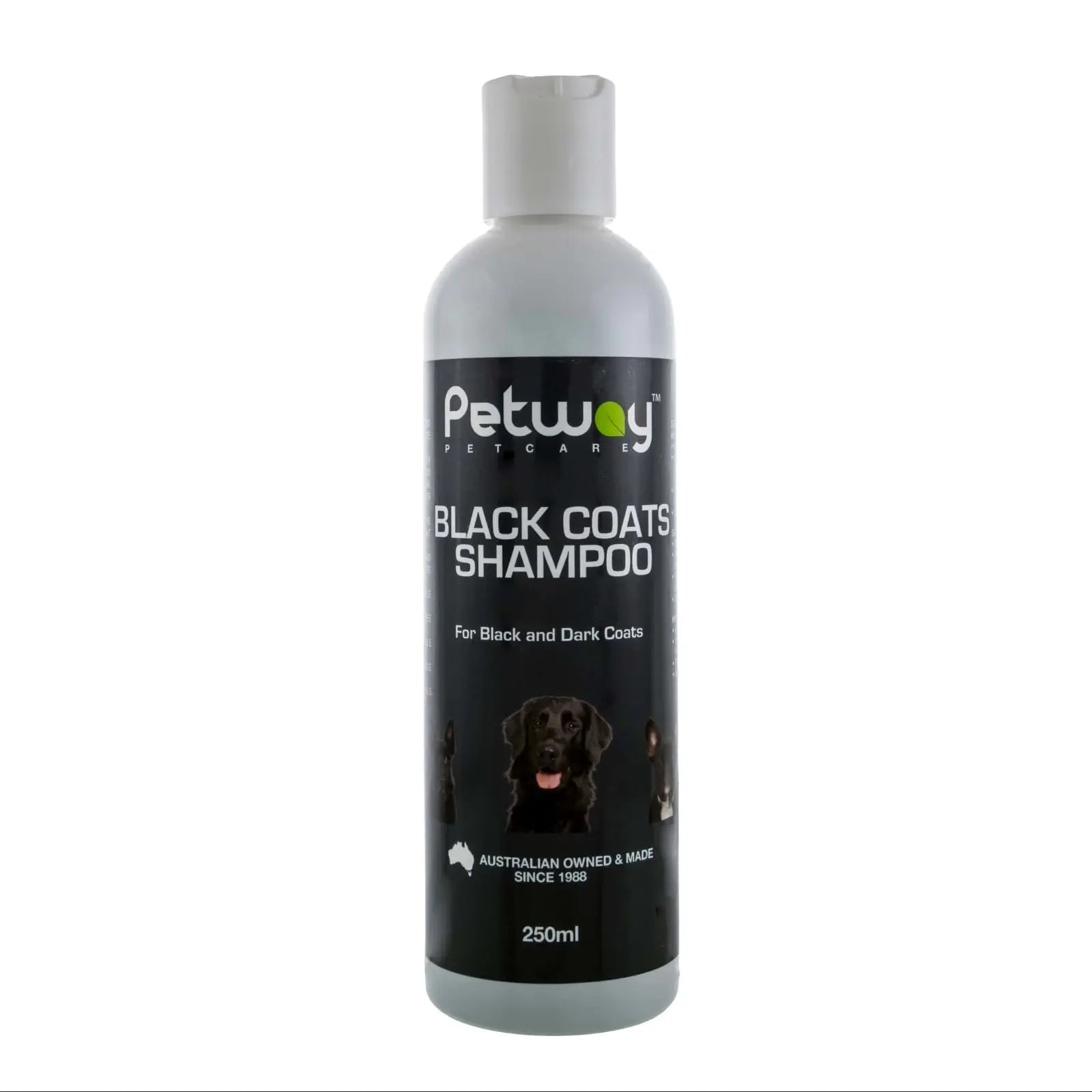 Petway Black Coats Shampoo - Kellyville Pets