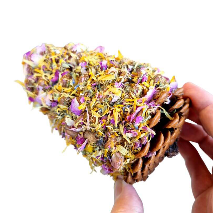 Raw for Birds Floral Pinecone Chews