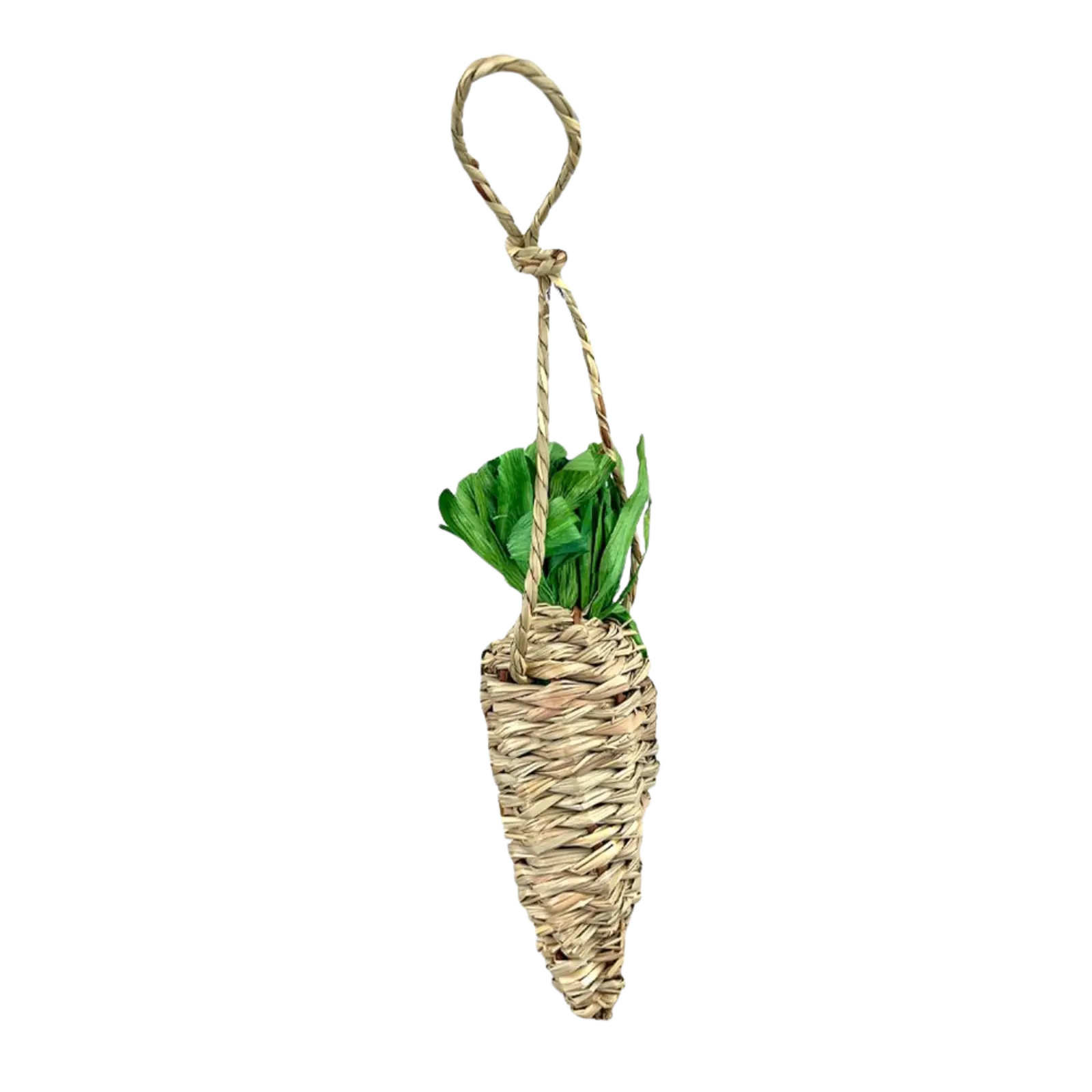 Pipsqueak Chew Seagrass Carrot PipSqueak