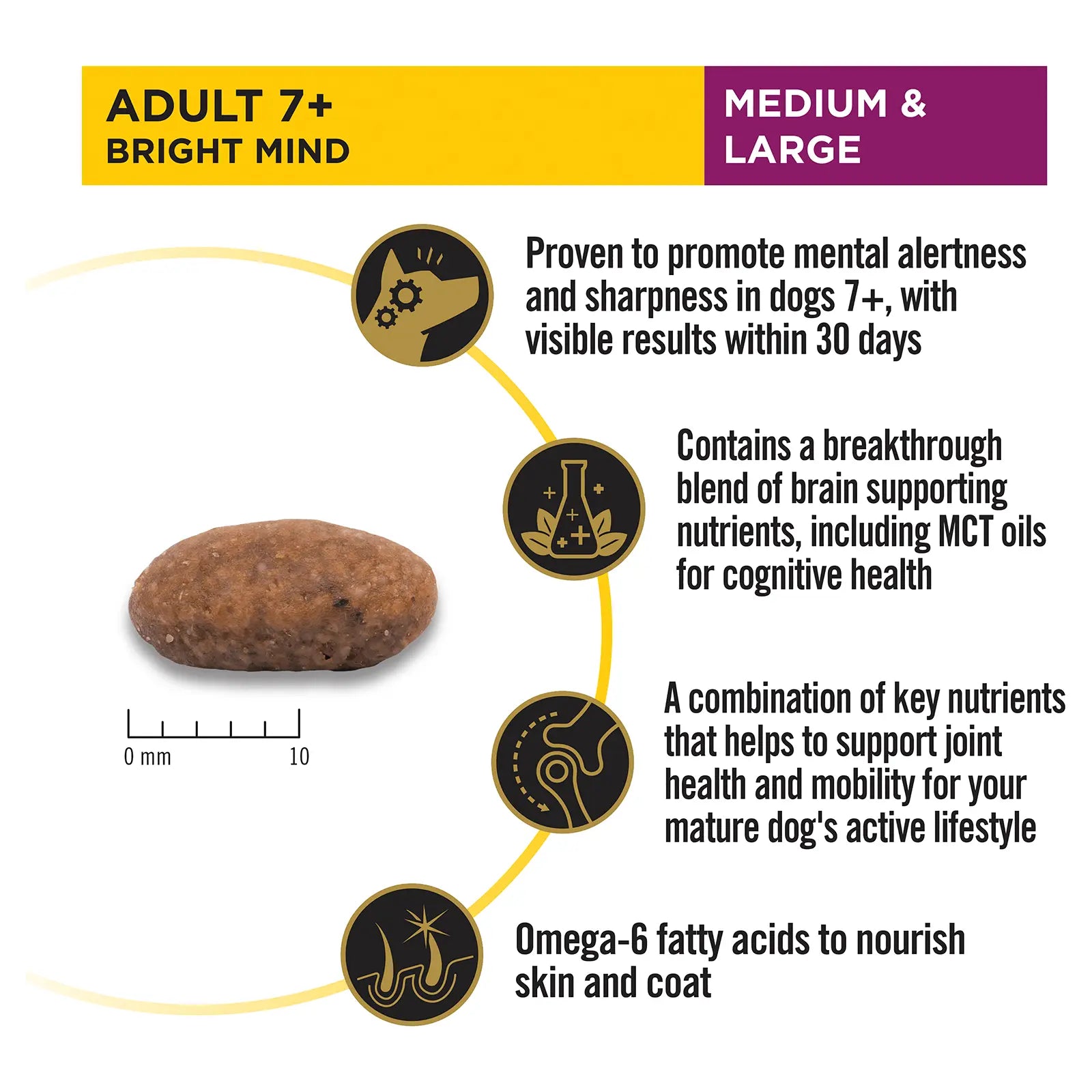 Pro Plan Dog Food Adult 7+ Bright Mind Medium & Large Breed - Kellyville Pets