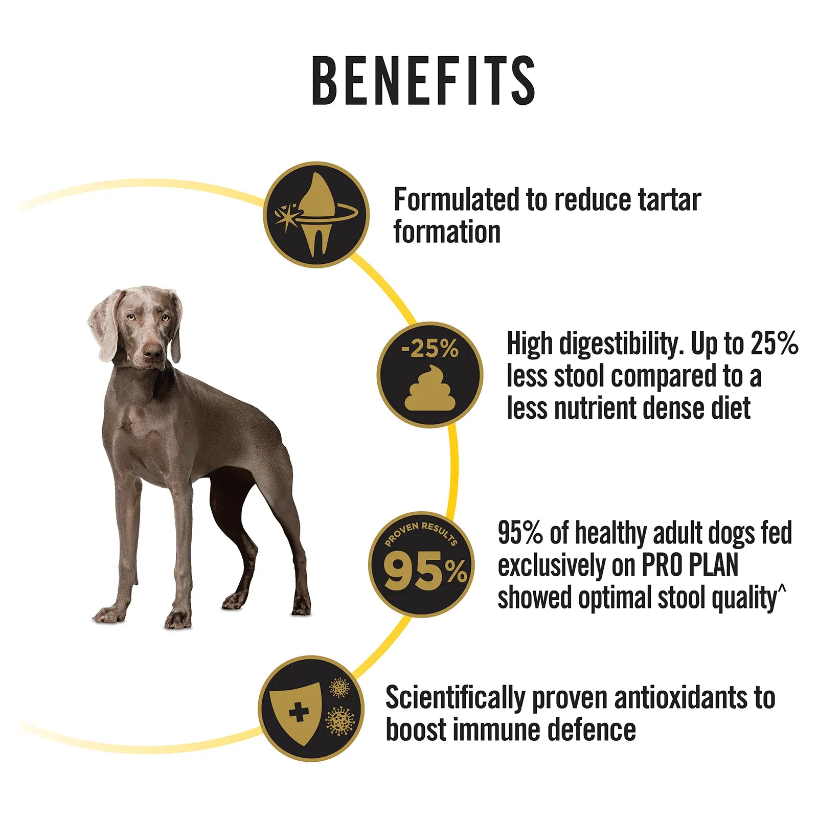 Pro Plan Dog Food Adult 7+ Bright Mind Medium & Large Breed - Kellyville Pets