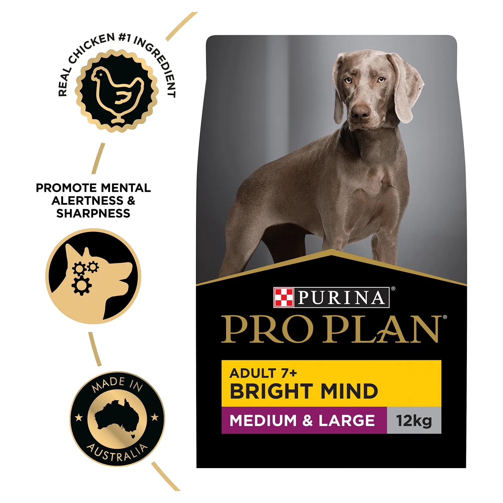 Pro Plan Dog Food Adult 7+ Bright Mind Medium & Large Breed - Kellyville Pets
