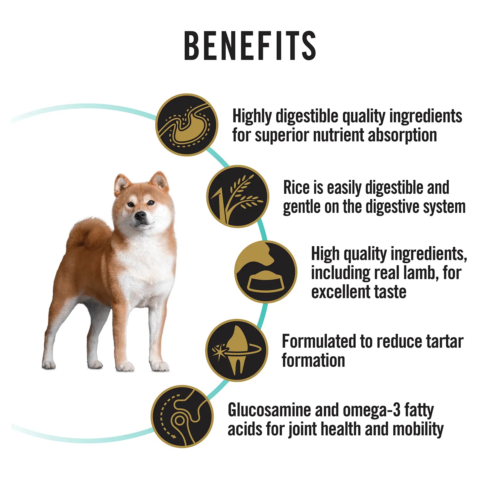 Pro Plan Dog Food Adult Sensitive Digestion Lamb - Kellyville Pets