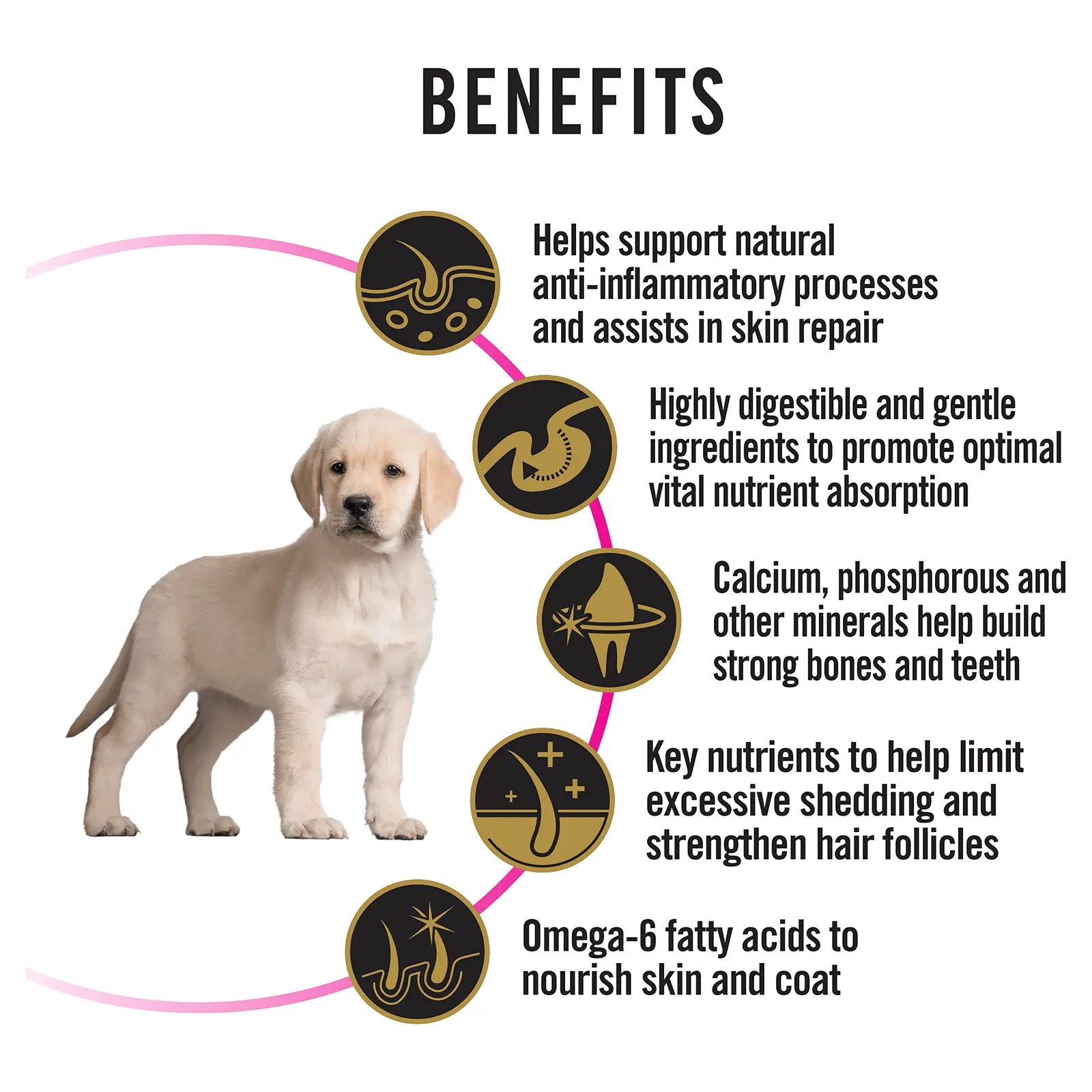 Pro Plan Dog Food Puppy Sensitive Skin & Stomach - Kellyville Pets