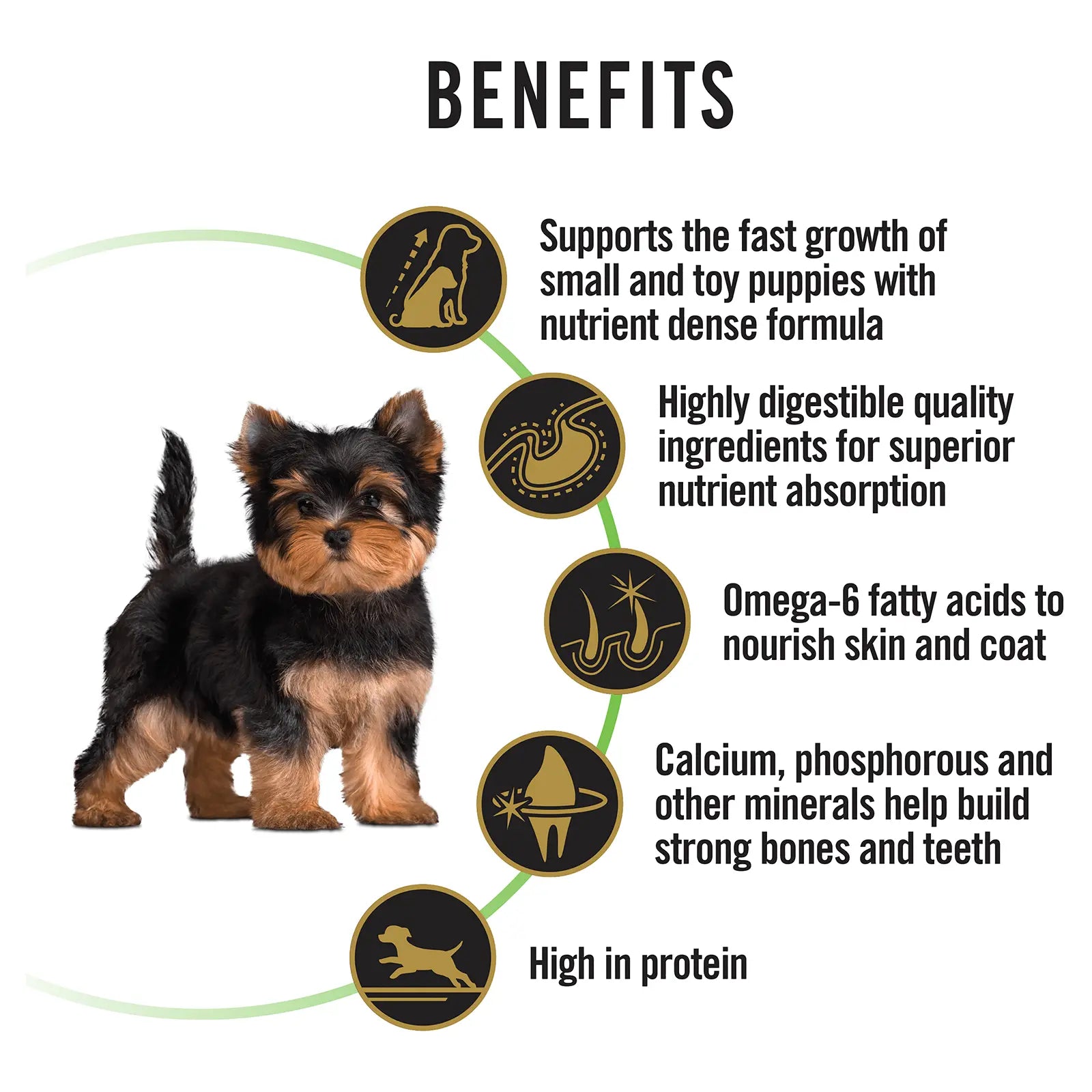 Pro Plan Dog Food Puppy Small & Toy Breed - Kellyville Pets