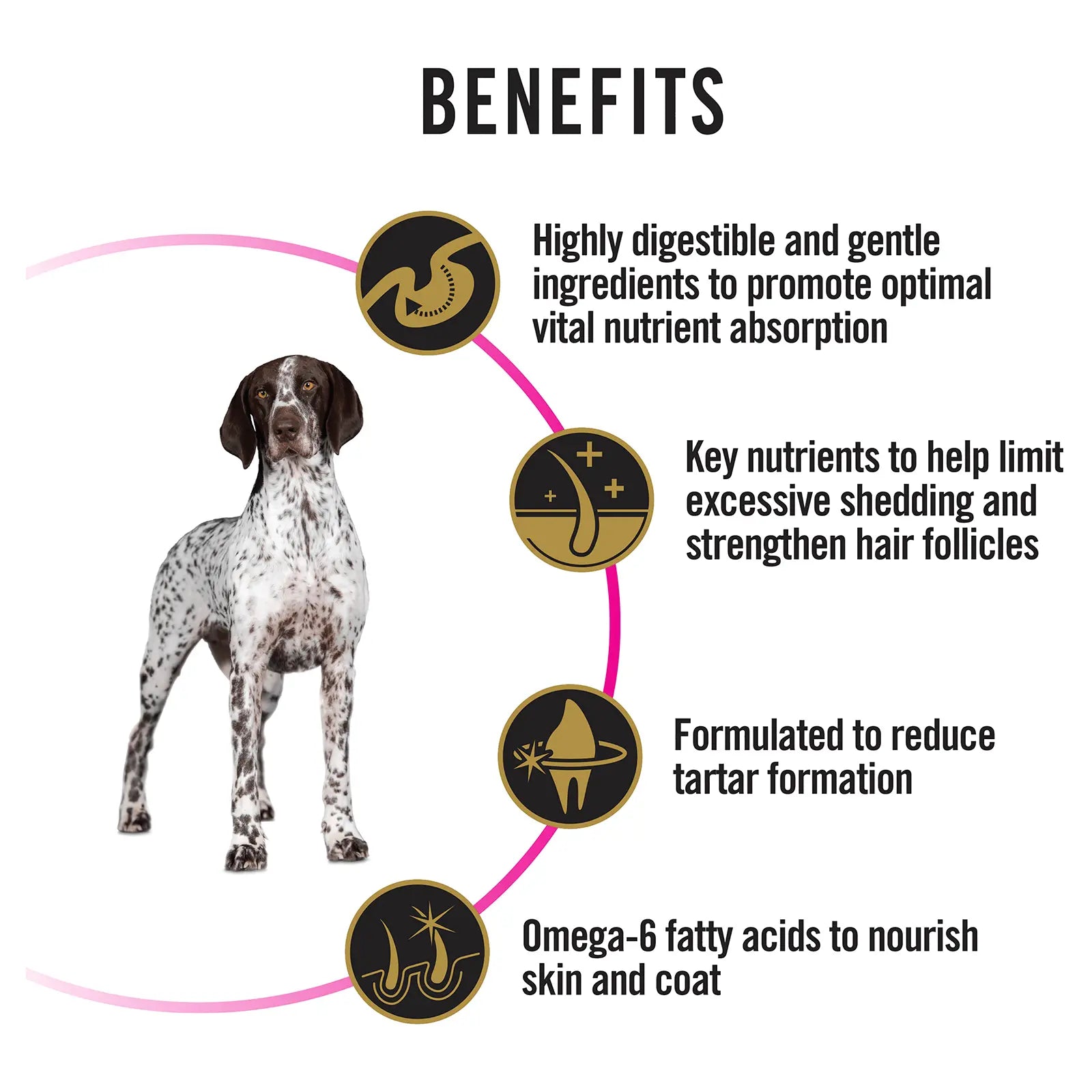 Pro Plan Dog Food Sensitive Skin & Stomach Medium & Large Breed - Kellyville Pets