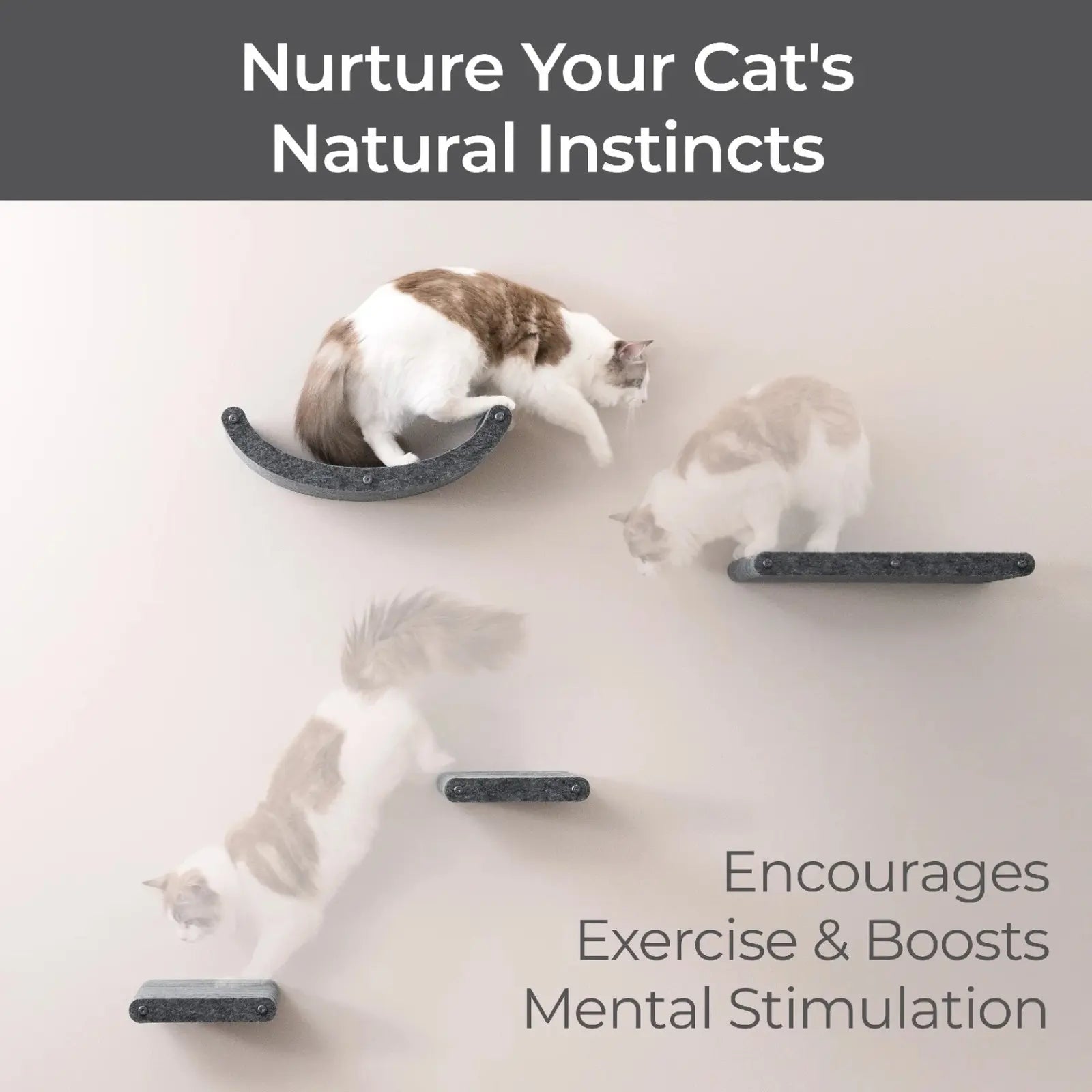 Pryde Pets Cat Climber Shelves - Set of 4 Pryde Pets