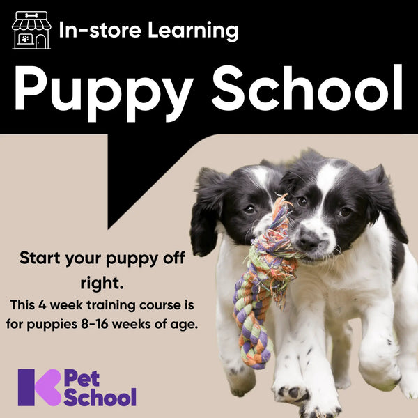 Puppy Preschool - Kellyville Pets