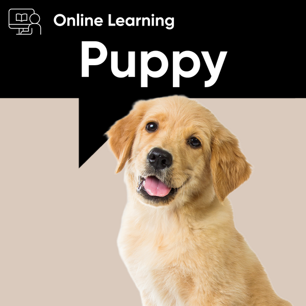 Puppy Masterclass