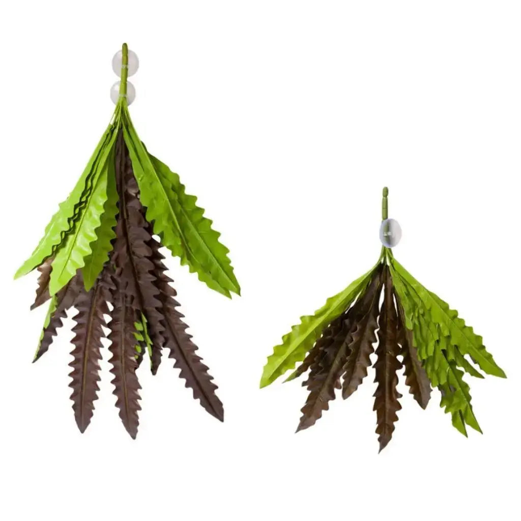 Reptile One Hanging Plant Birds Nest Fern Green 40cm Reptile One