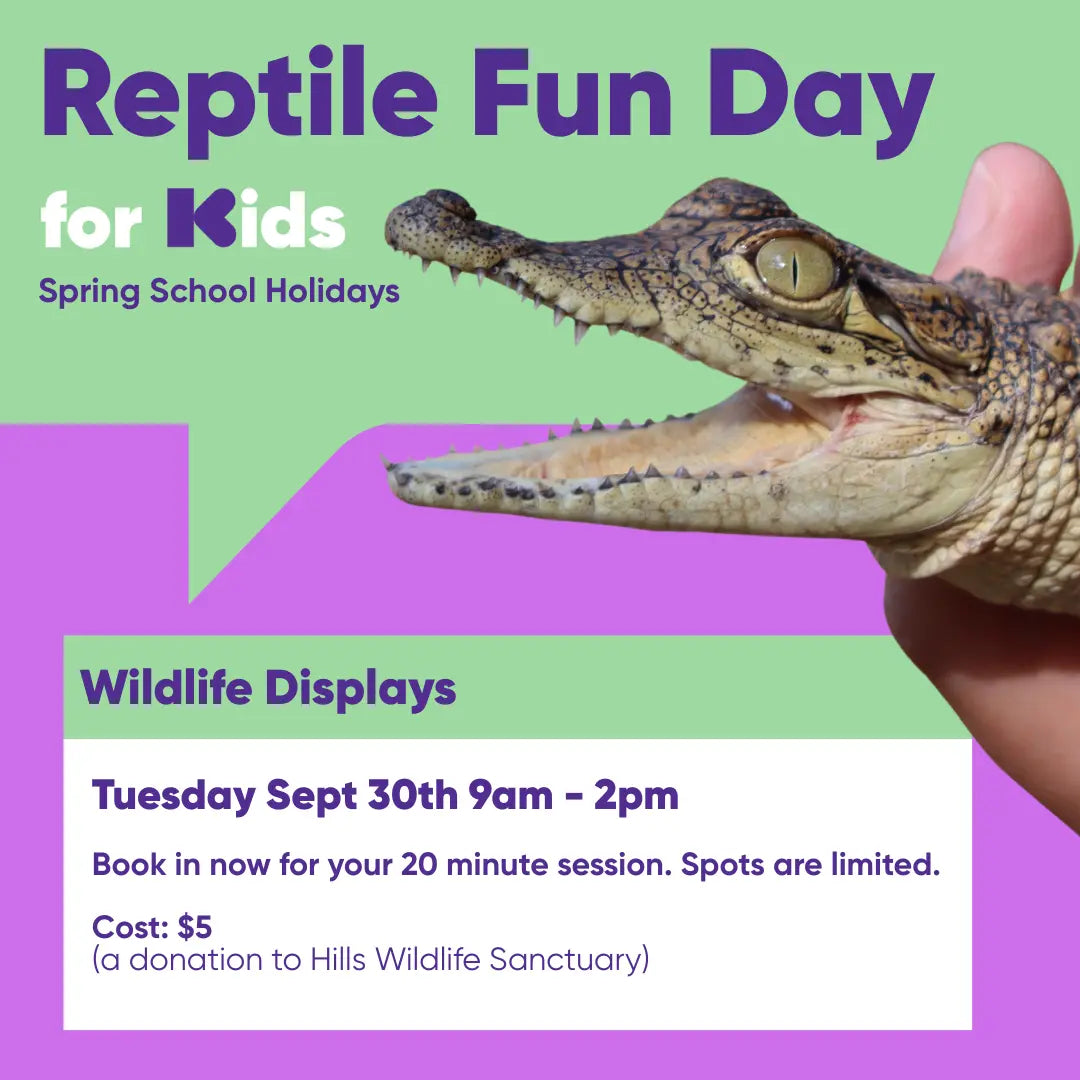 Reptile Show Entry (proceeds to Hills Wildlife Sanctuary) Not Specified