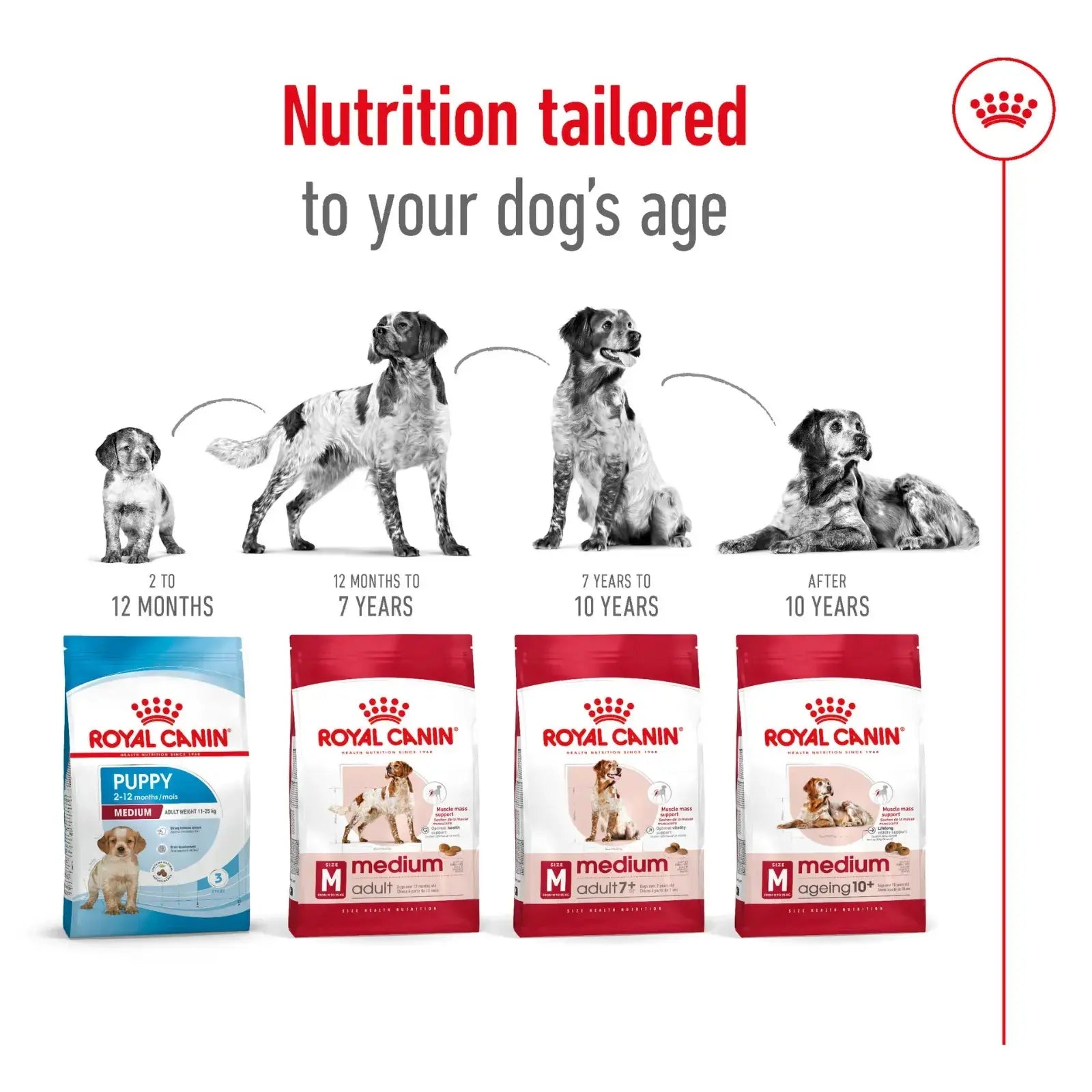 Royal Canin Dog Food Adult Medium Royal Canin
