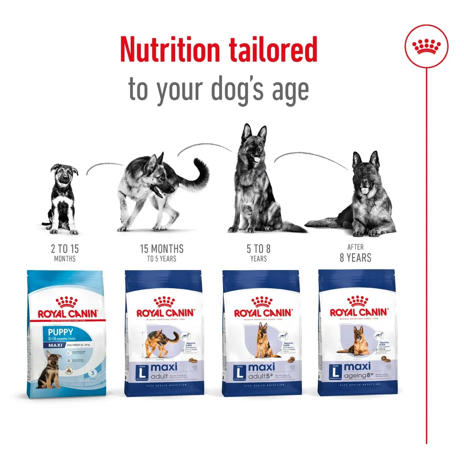 Royal Canin Dog Food Adult Maxi Royal Canin