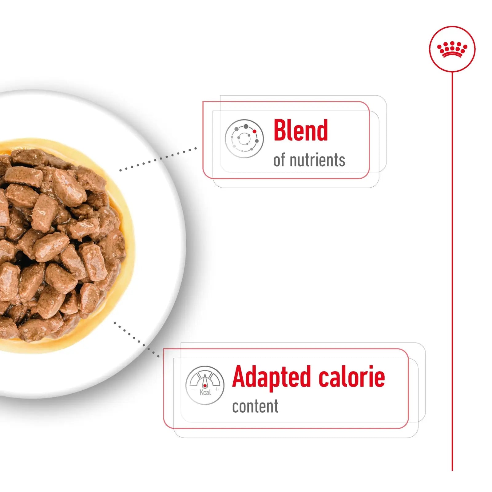 Royal Canin Dog Food Pouch Ageing 12+ Mini Royal Canin