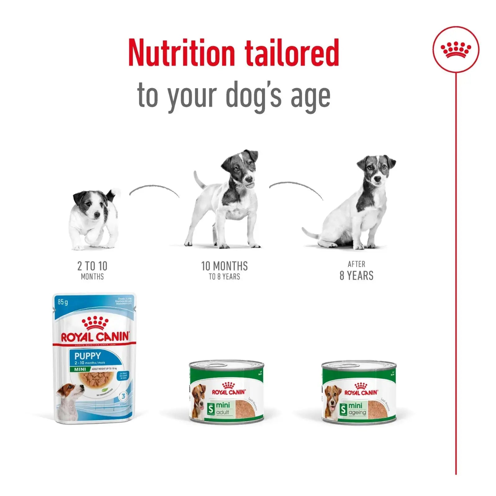 Royal Canin Mini Adult Loaf Dog Food Can 12 x 195g Royal Canin