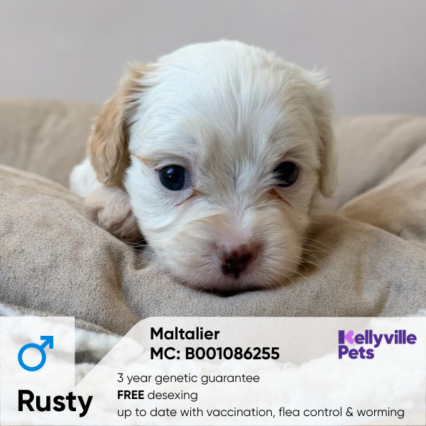 Rusty