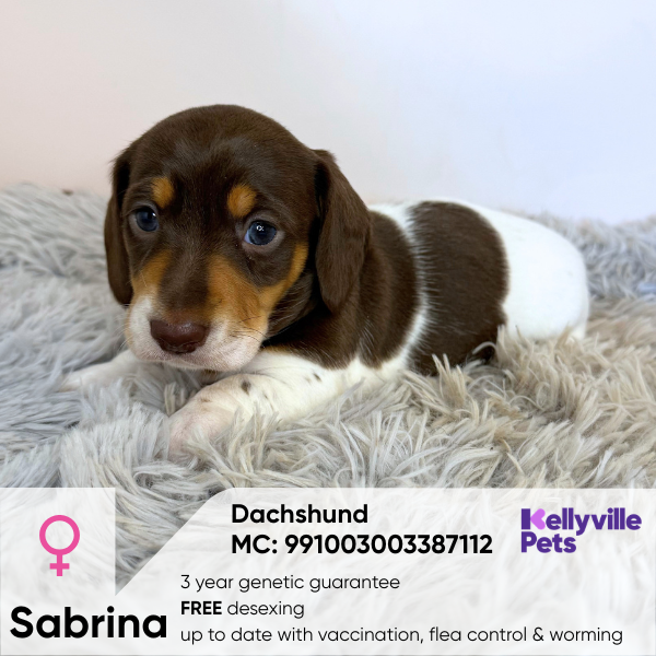 Sabrina