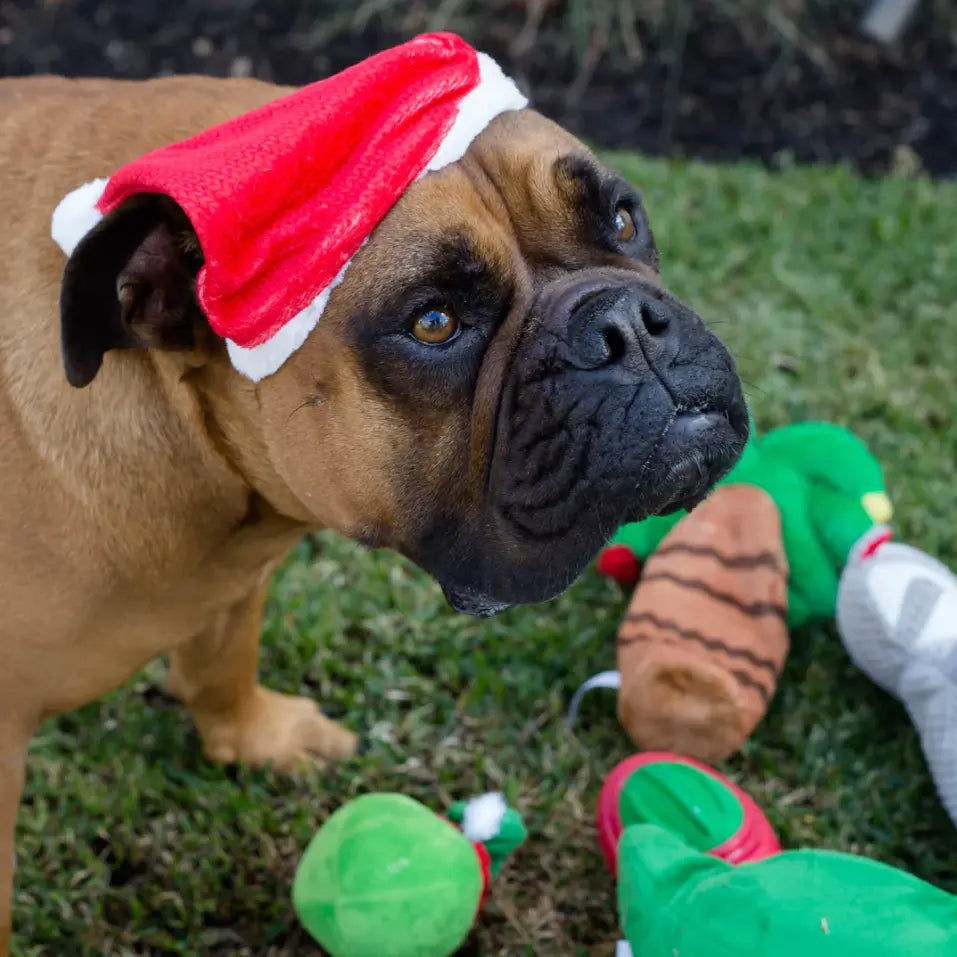 Kazoo Xmas Santa Hat Kazoo
