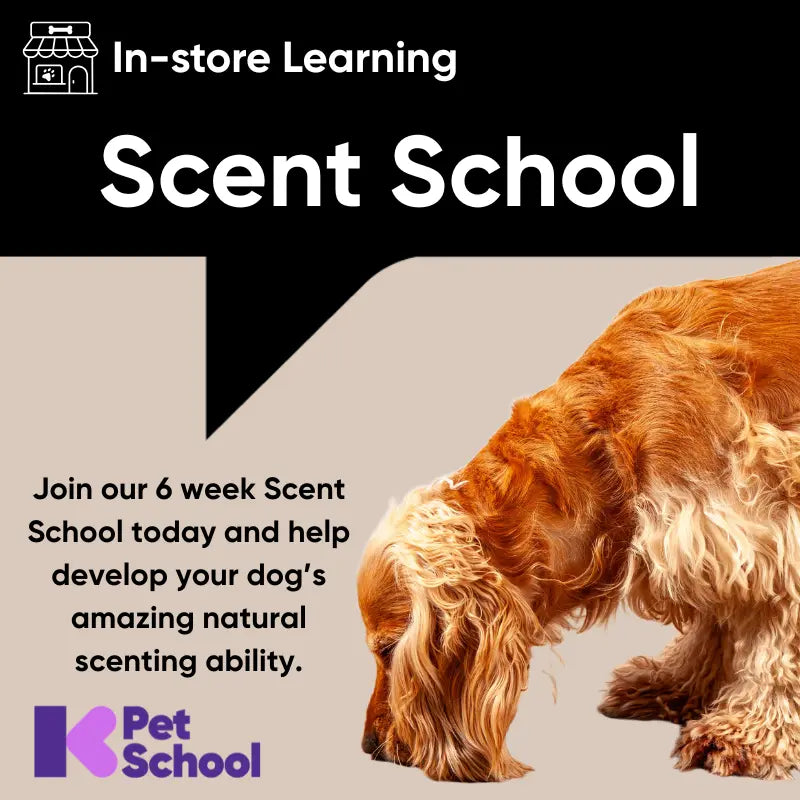 Scent School Not Specified