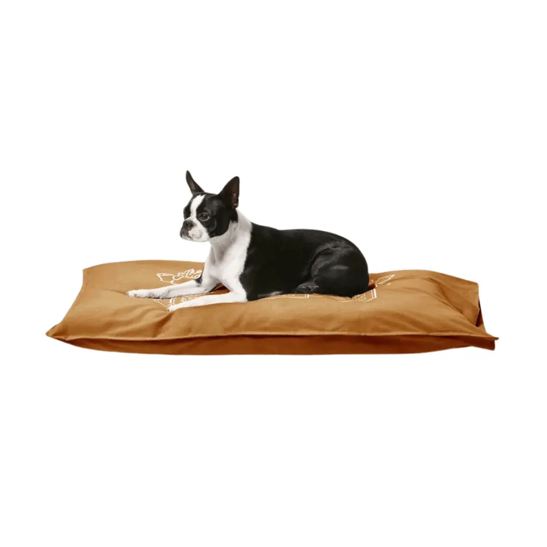 Snooza Cotton Canvas Futon Dog Bed - Kellyville Pets