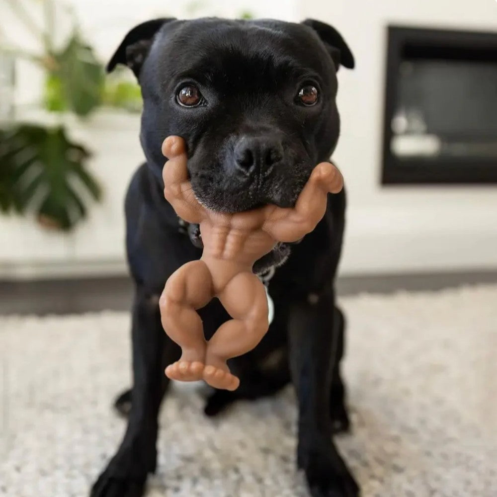 Happy Staffy Co. Staffy Schwarzenegger Tough Dog Toy