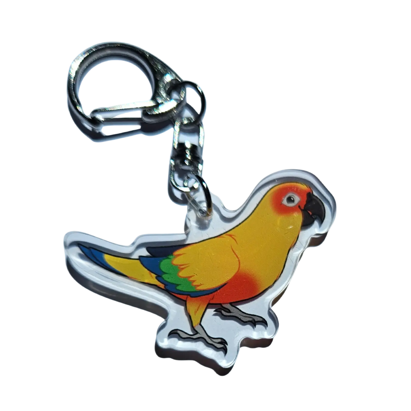 Sun Conure Acrylic Keychain Hecko Gecko