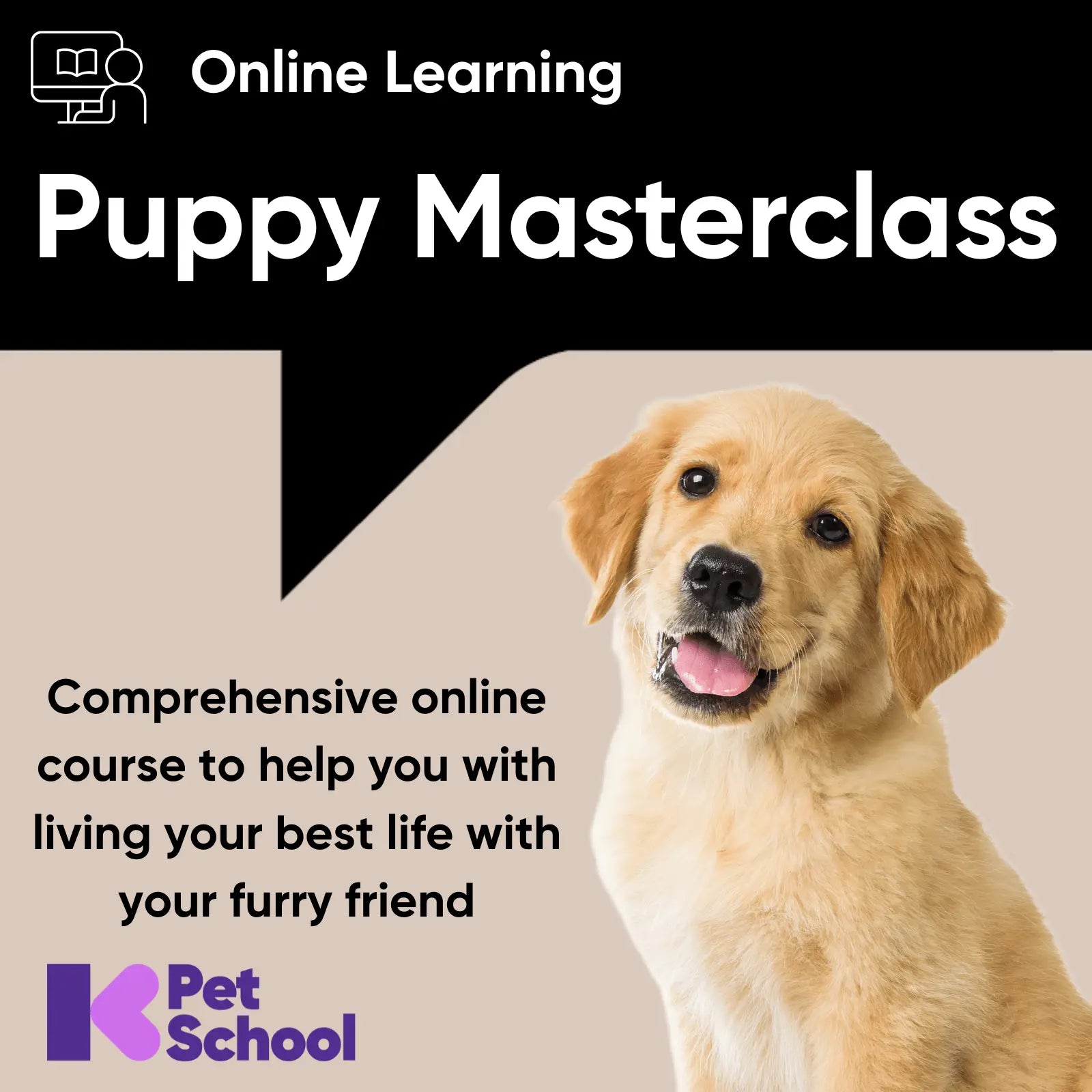 The Puppy Masterclass - Kellyville Pets