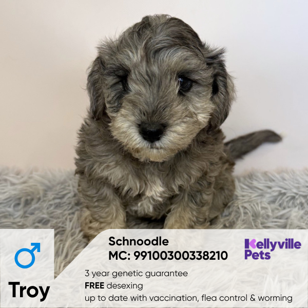 Troy