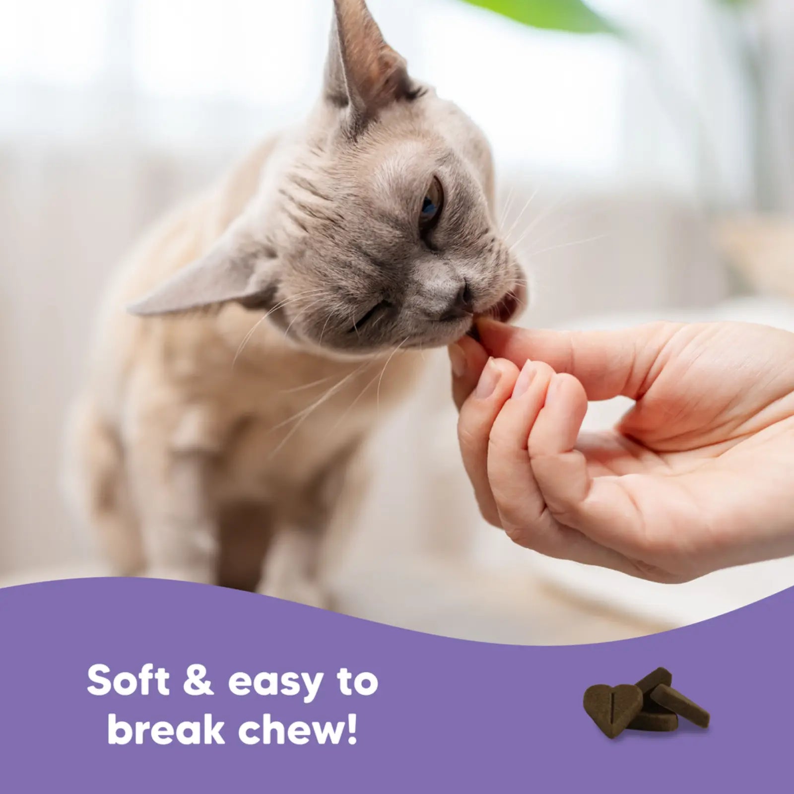 Vetafarm Lovebites B-Calm Chews for Cats 60 Pack Vetafarm