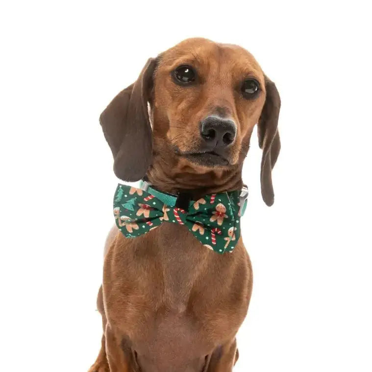 Xmas Bowtie - Jolly Gingerbread & Canes Fuzzyard