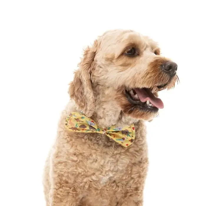 Xmas Bowtie - Outback Wonderland Fuzzyard