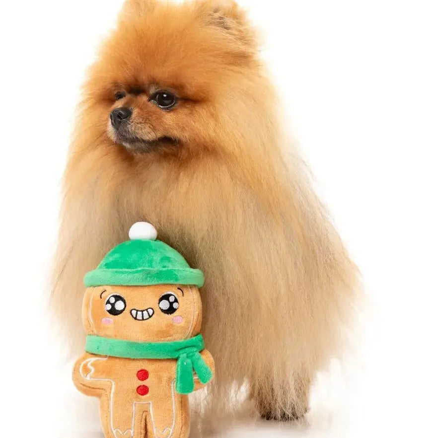 Xmas Holly Jolly Chillybread Dog Toy Fuzzyard