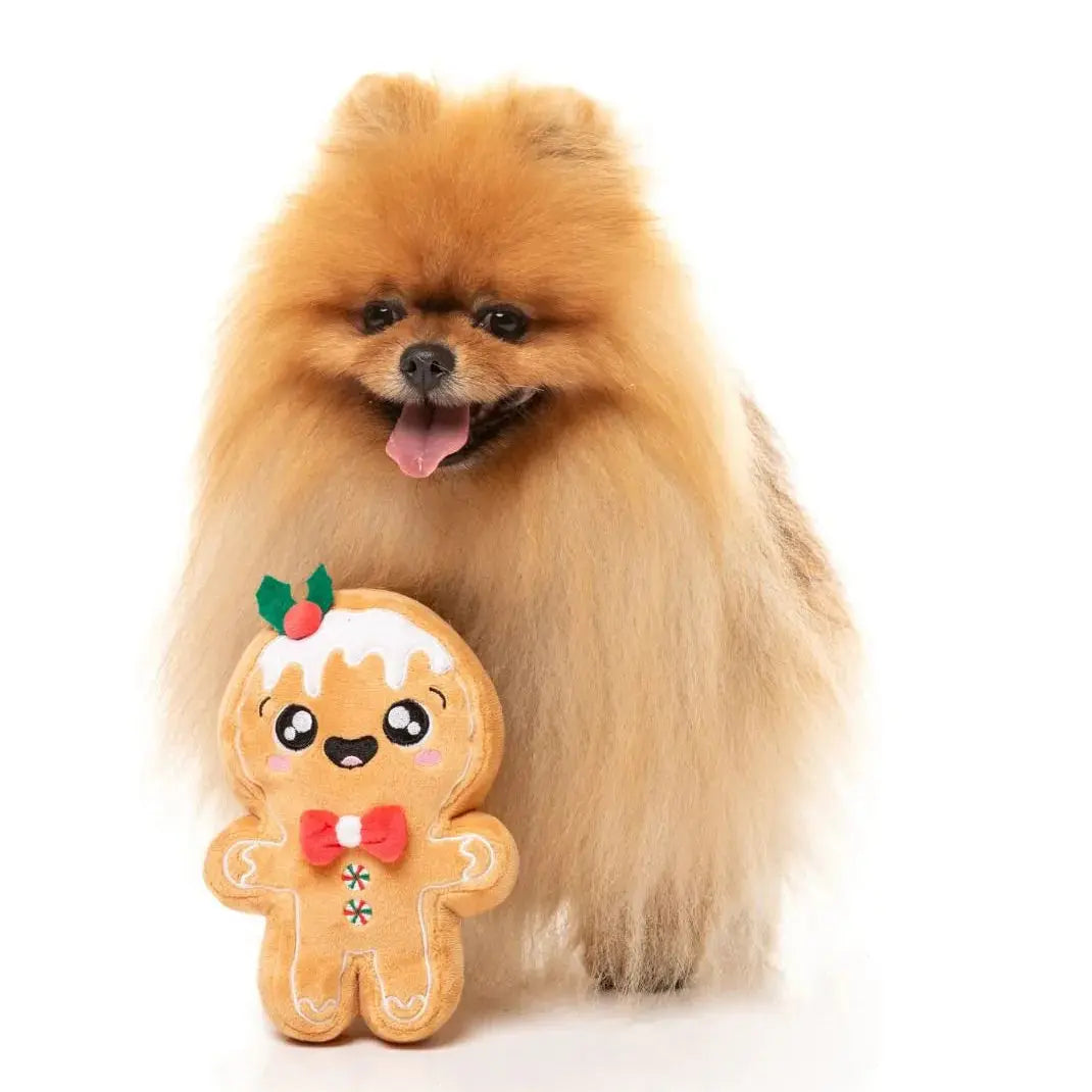 Xmas Mistle-Dough Dog Toy Fuzzyard