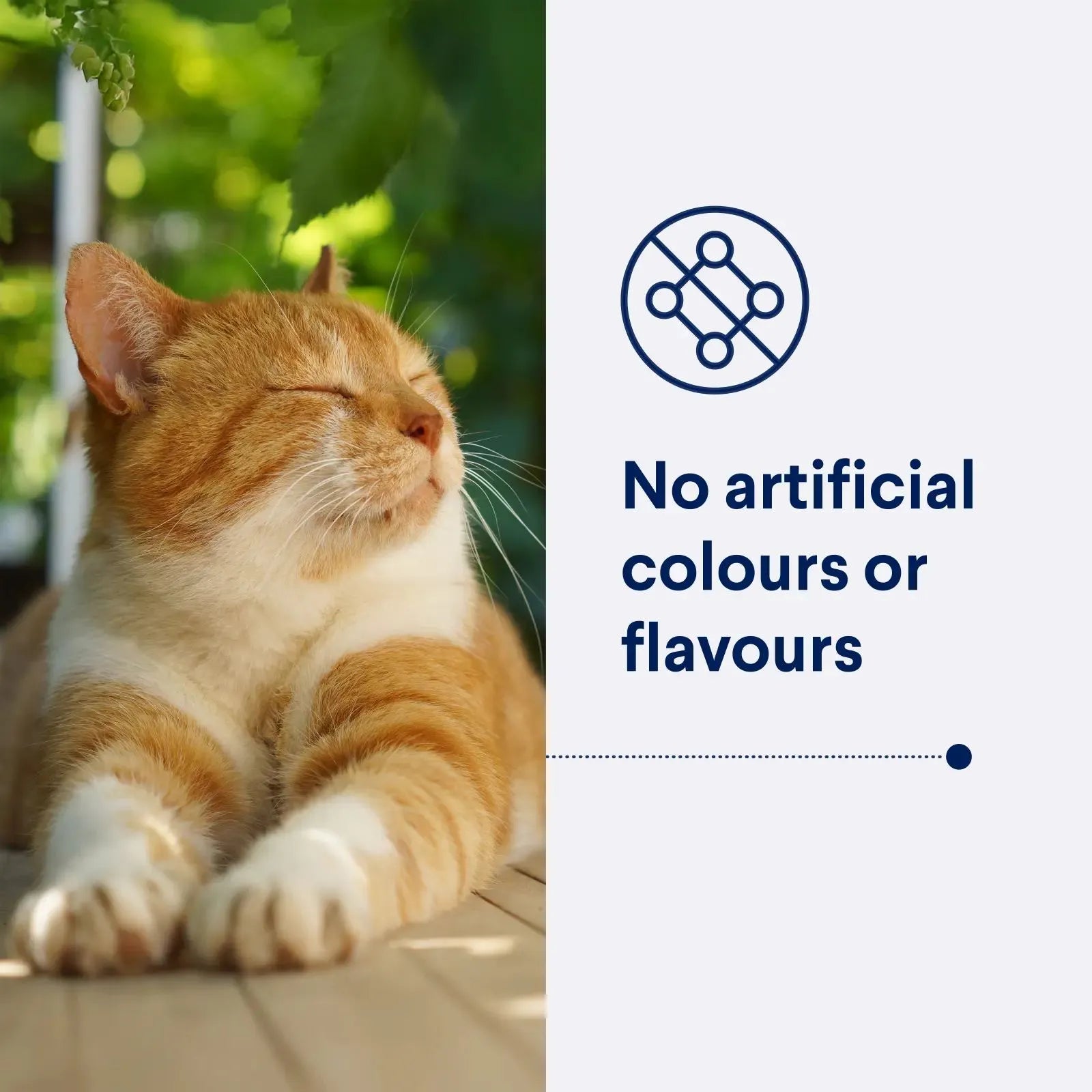Advance Cat Food Adult Chicken