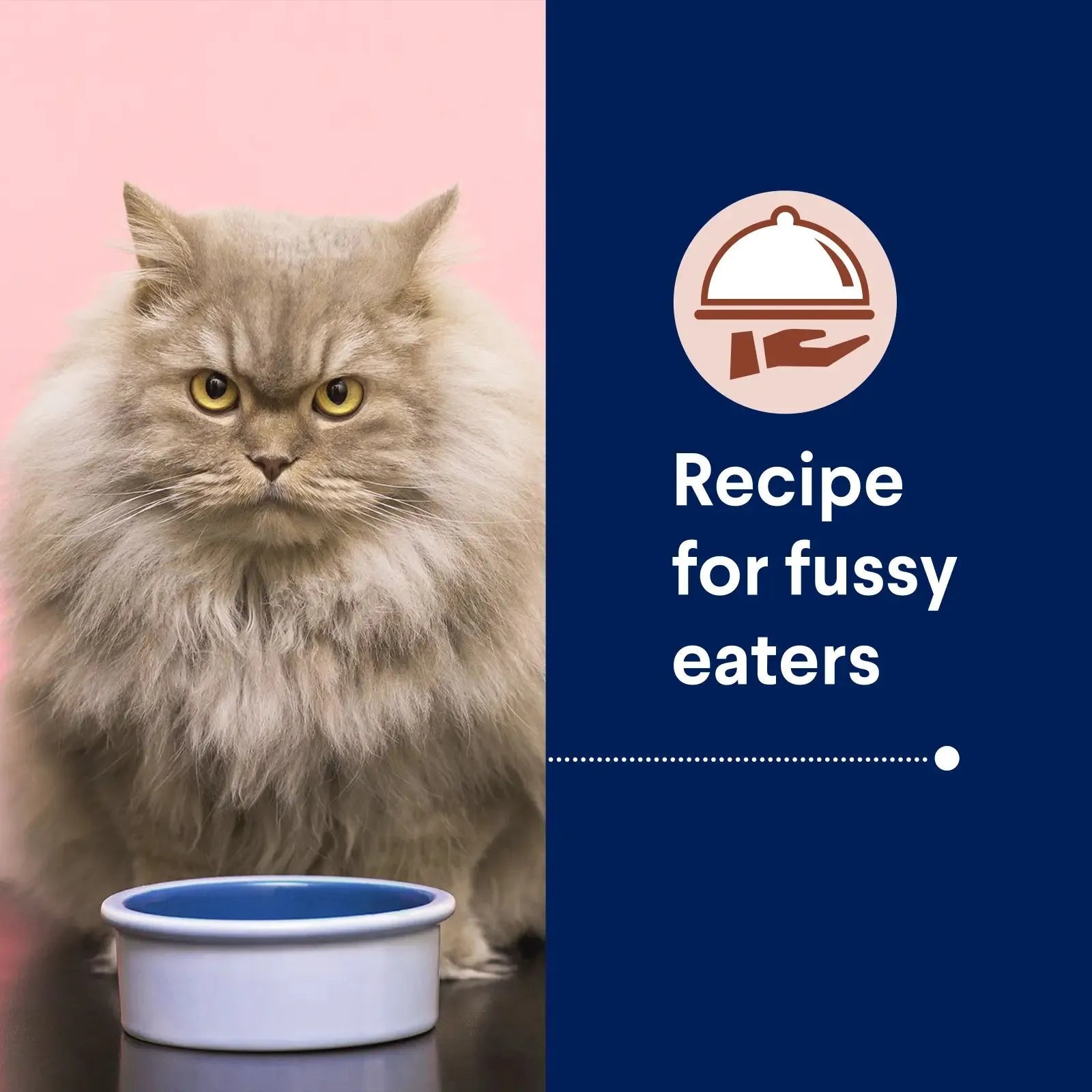 Advance Cat Food Adult Chicken