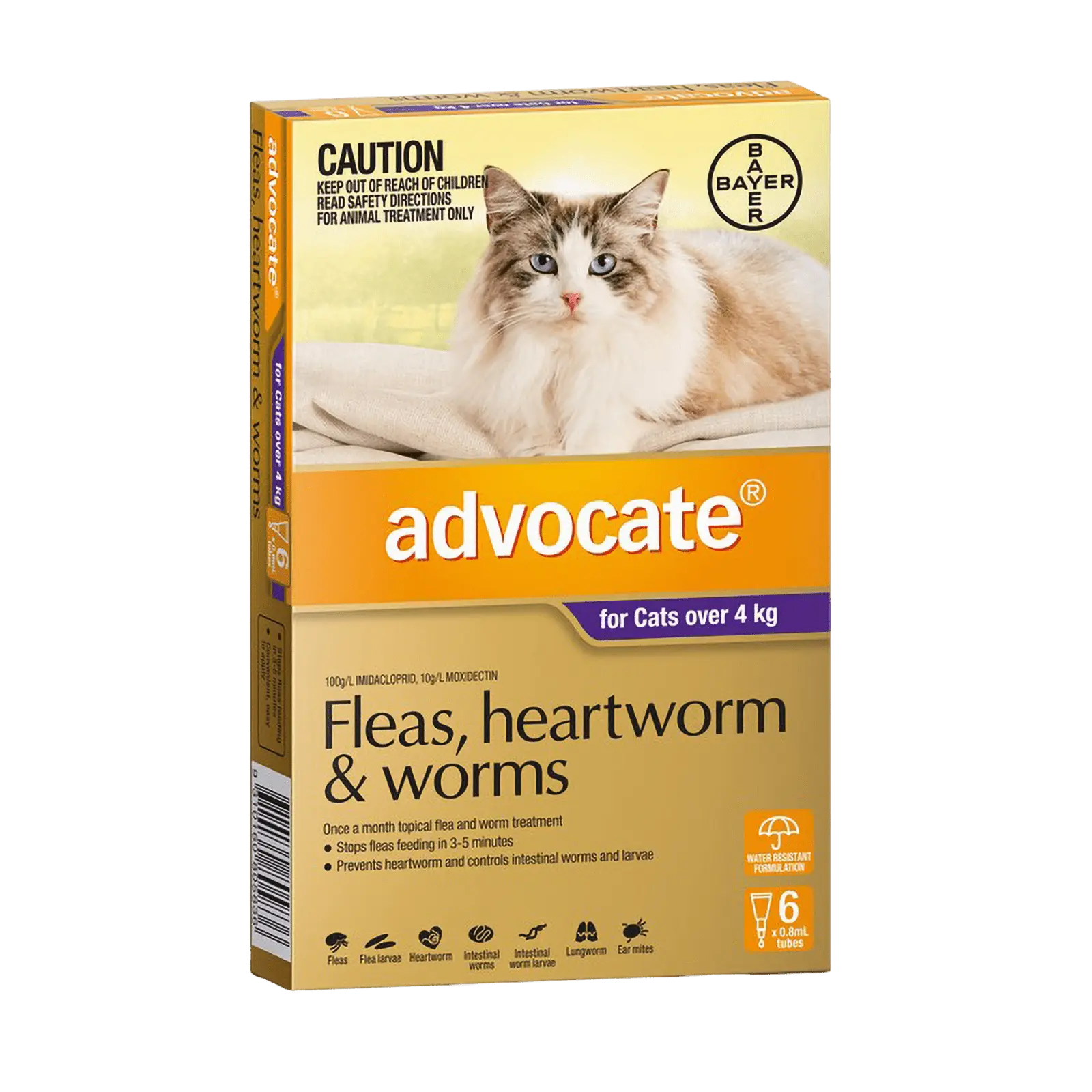 Advocate for Large Cats Purple Over 4kg - Kellyville Pets