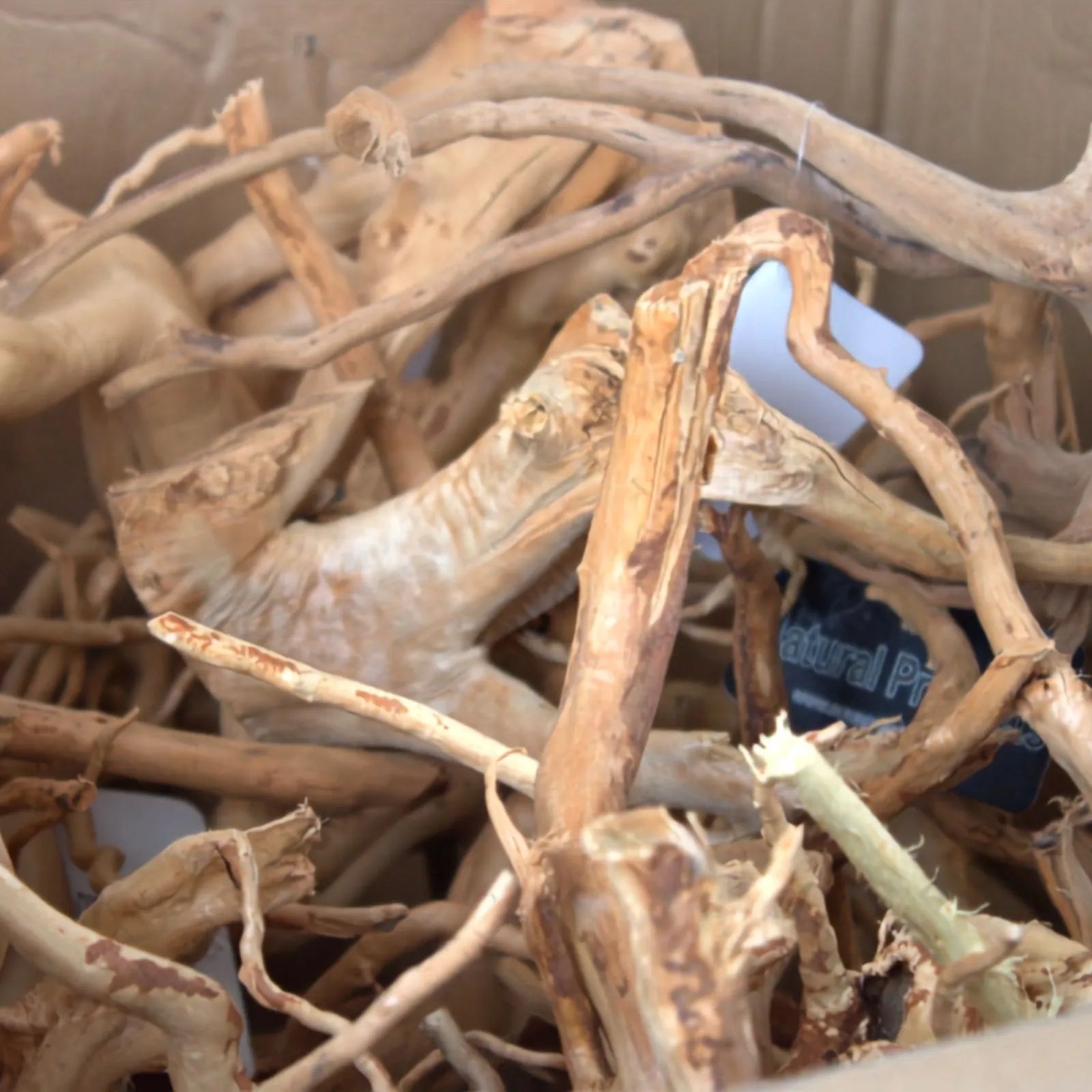 AP Naturals Goldvine Driftwood - Medium